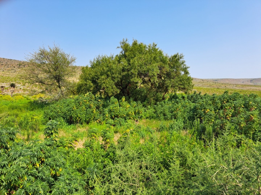 2 Bedroom Property for Sale in Van Wyksdorp Western Cape